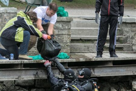 Пруд Шнелли очистят, откачав из него воду 