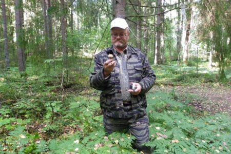 Грибовед Анатолий Тарасов: Ни шляпки, ни ножки!