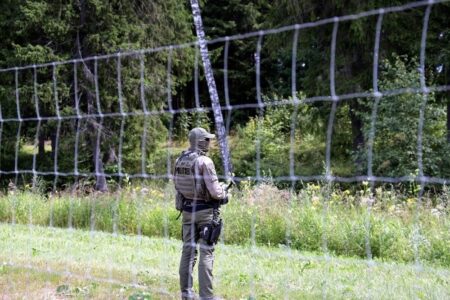 Эстония строит стену на границе