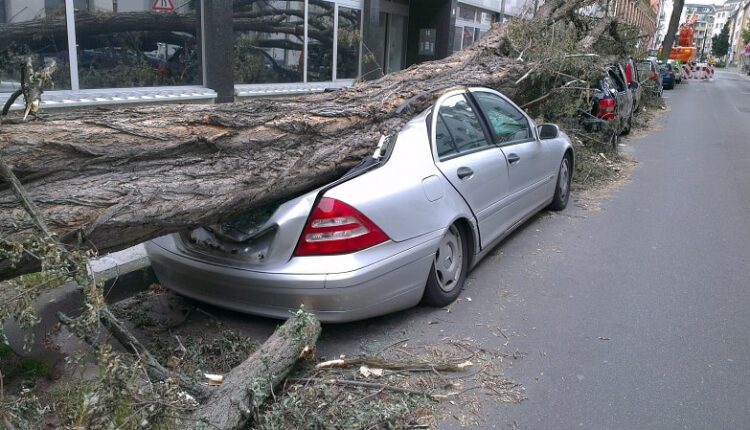 road-car-vehicle-auto-tornado-fallen-tree-damage-attention-dangerous-forward-insurance-traffic-collision-837640-min