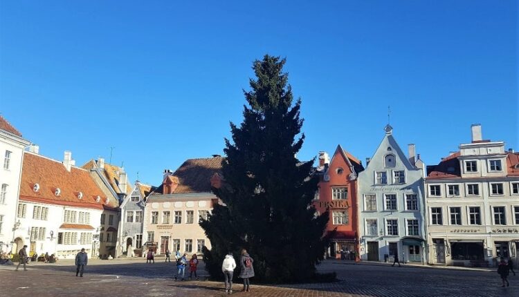 kuusk_020321 (1)-min