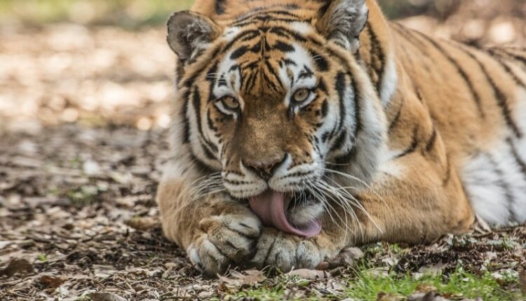 178966811_4272457412804789_8051694954127797768_n-min