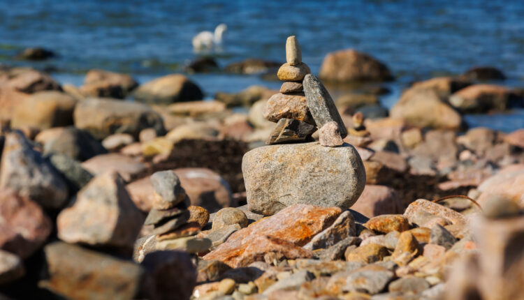 6178_20240829 foto Arno Mikkor