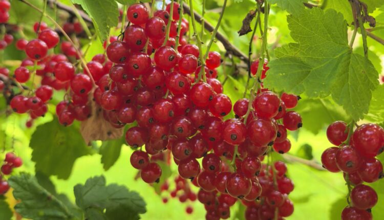 photo_2025-07-28 15.54.41